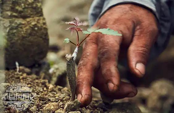 Sostenibilidad