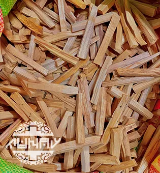 Sustainable Palo Santo harvesting - Workers collecting naturally fallen trees