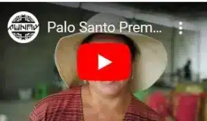 Buy Palo Santo in bulk, wholesale supplier and distributor in Perú